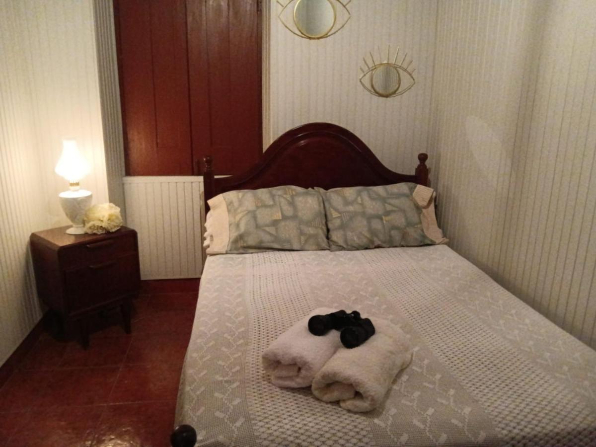 Casa Da Vovo Ceu - Casa De Campo Gandaresa - Country House, Entre Coimbra E Aveiro, A 15 Minutos Carro Praia Mira - Quintal Com Piscina Insuflavel Cantanhede Luaran gambar